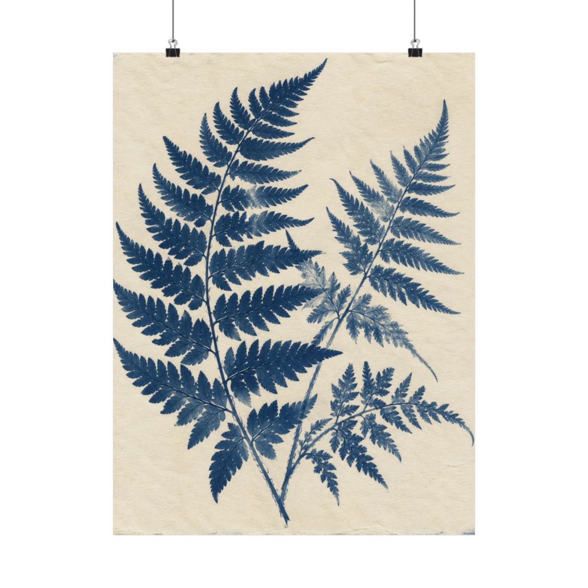 Cyanotype Fern Herbarium Poster