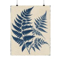 Cyanotype Fern Herbarium Poster