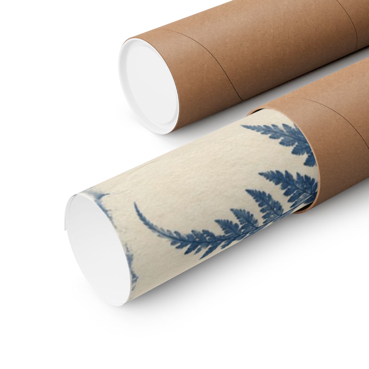 Cyanotype Fern Herbarium Poster