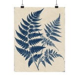 Cyanotype Fern Herbarium Poster
