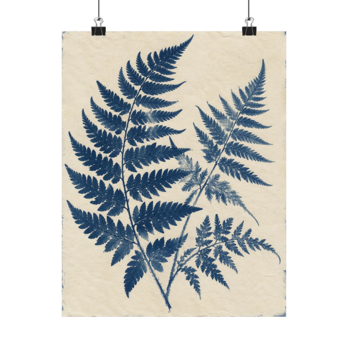 Cyanotype Fern Herbarium Poster