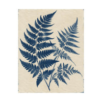 Cyanotype Fern Herbarium Poster