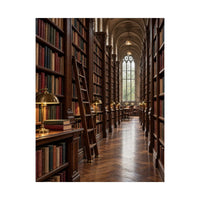 Quiet Library Aisle Poster