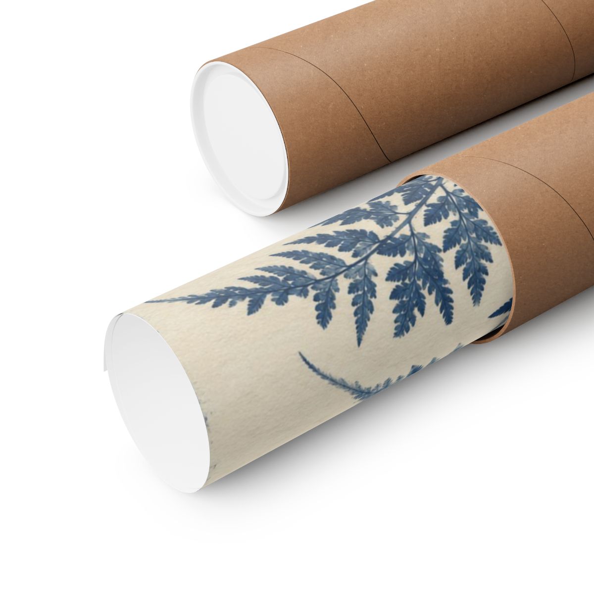 Cyanotype Fern Herbarium Poster