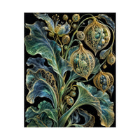 Alien Botanical Specimen Poster product view 5