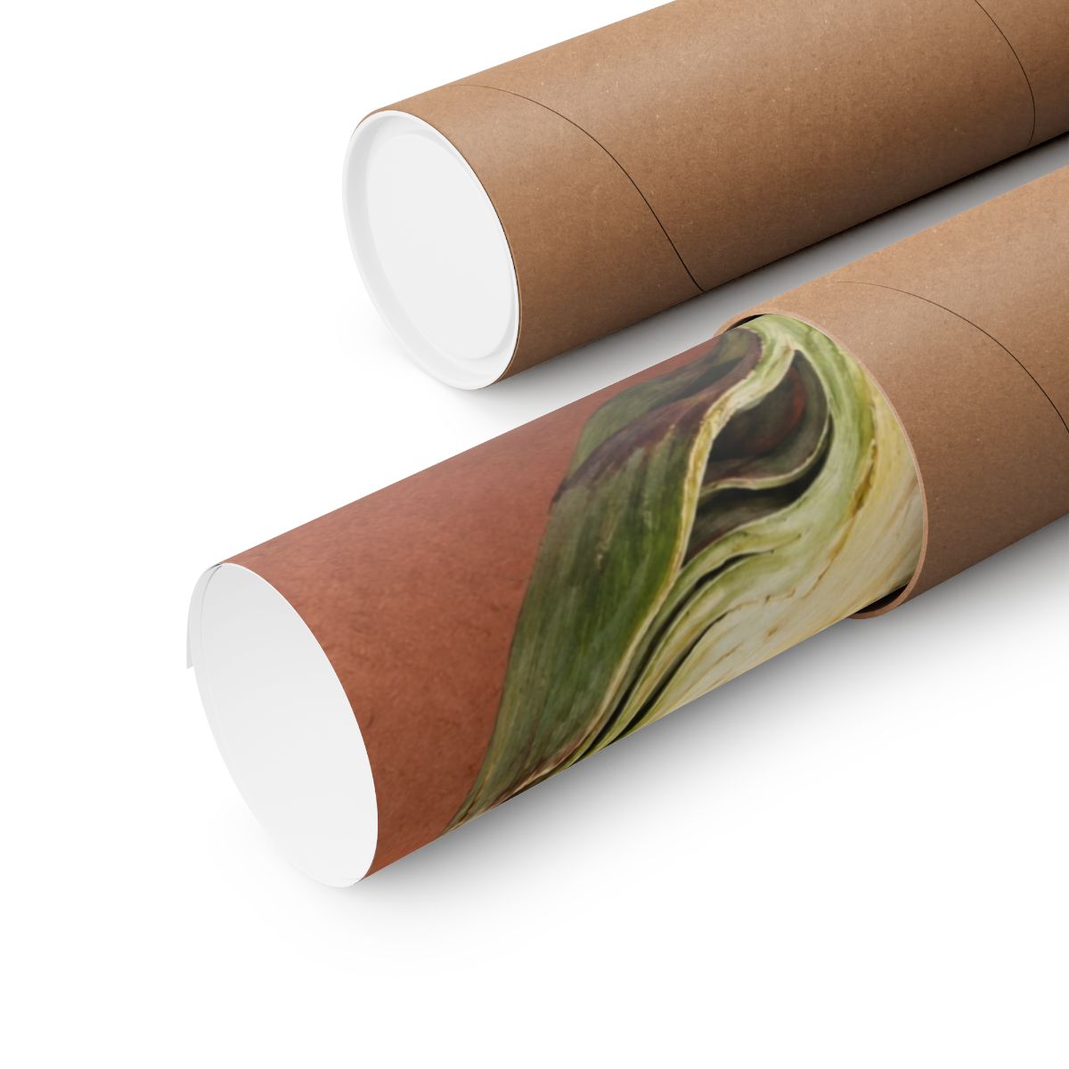 Artichoke Cross Section Poster product view 9