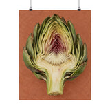 Artichoke Cross Section Poster product view 4