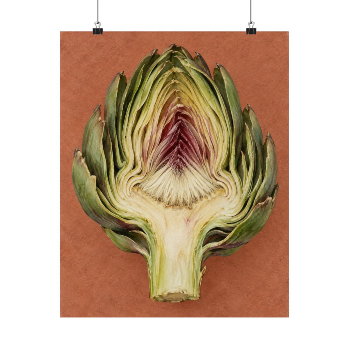 Artichoke Cross Section Poster product view 4