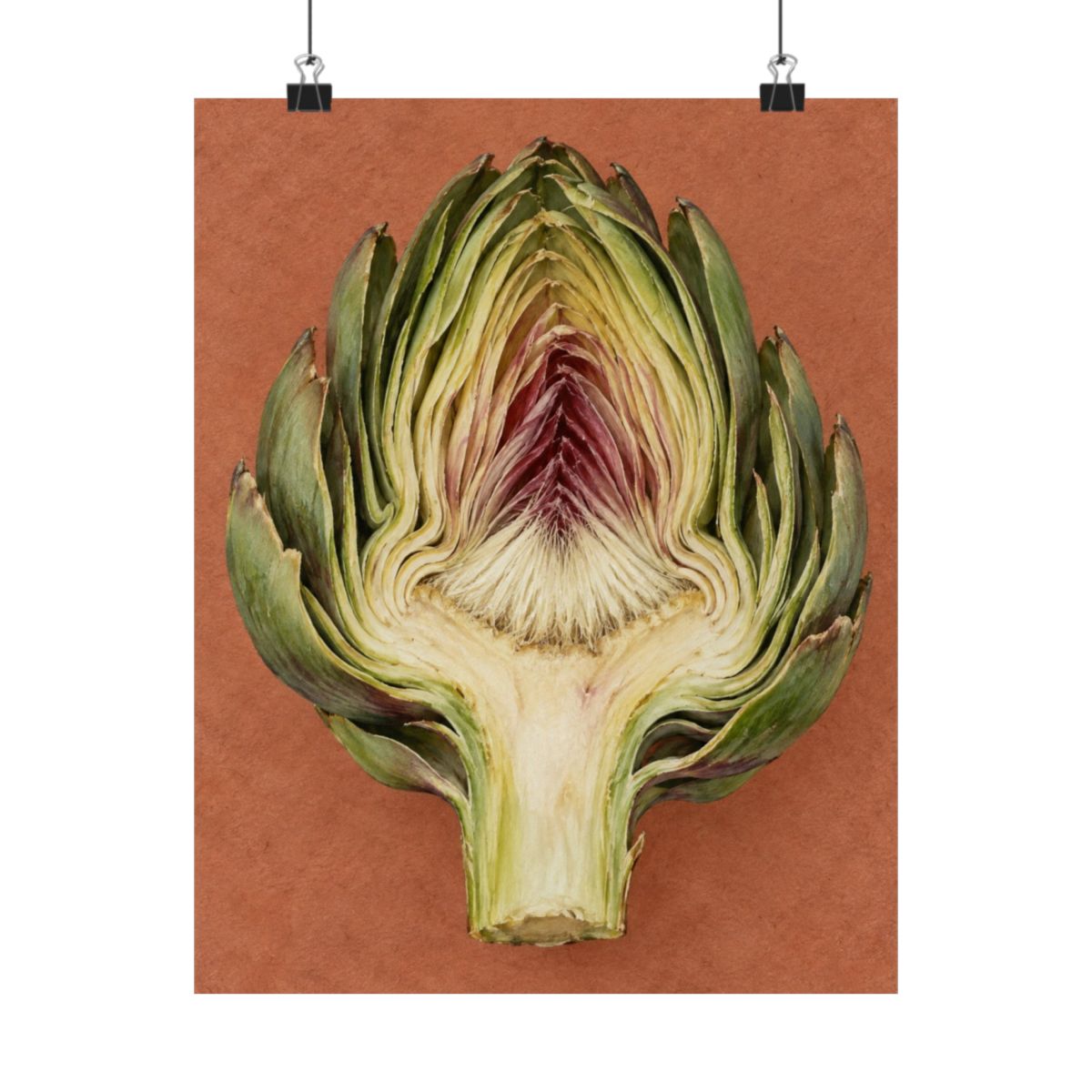 Artichoke Cross Section Poster product view 7
