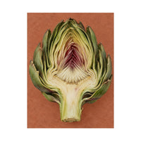 Artichoke Cross Section Poster product view 2