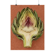 Artichoke Cross Section Poster product view 1