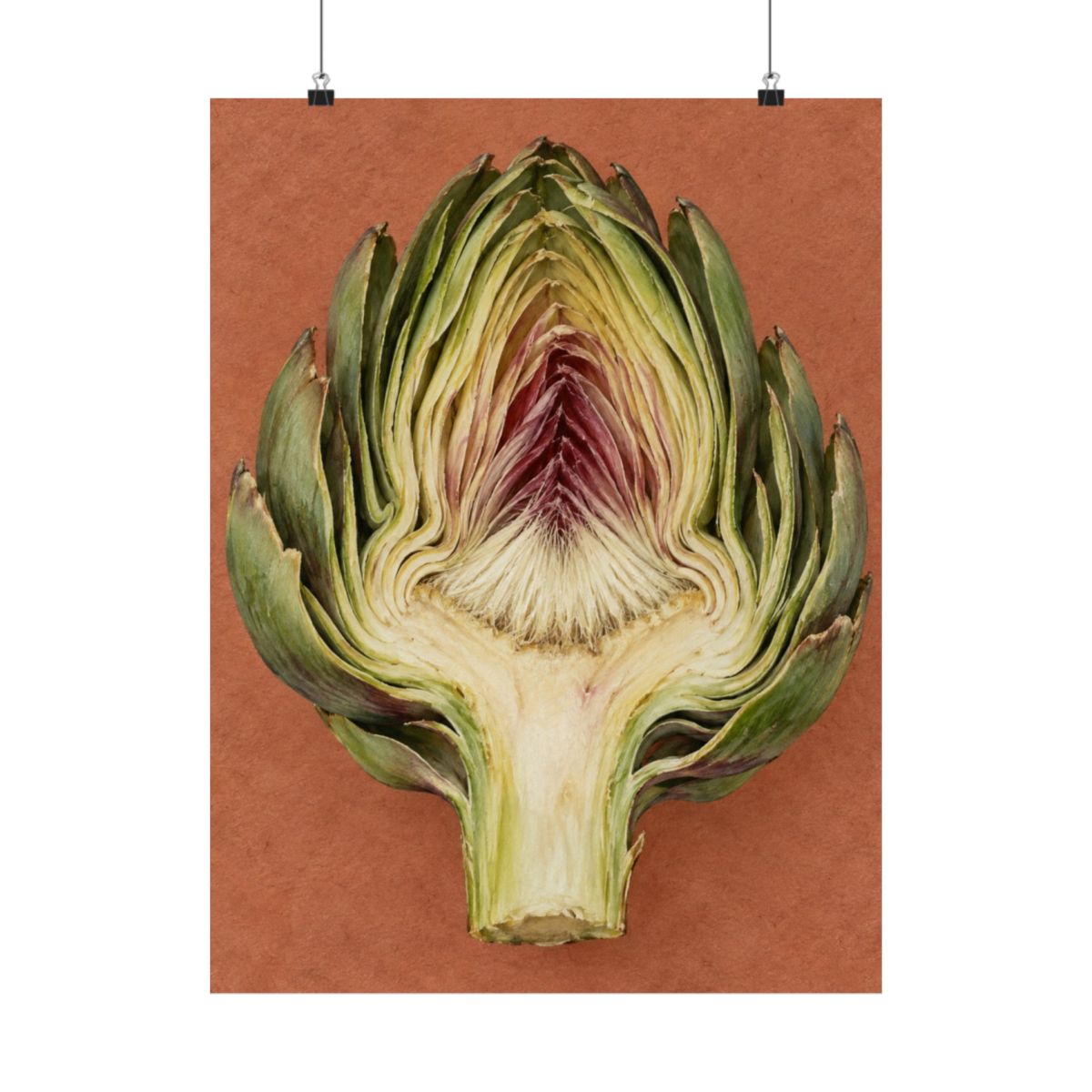 Artichoke Cross Section Poster product view 1