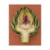 Artichoke Cross Section Poster product view 8