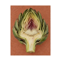 Artichoke Cross Section Poster product view 5