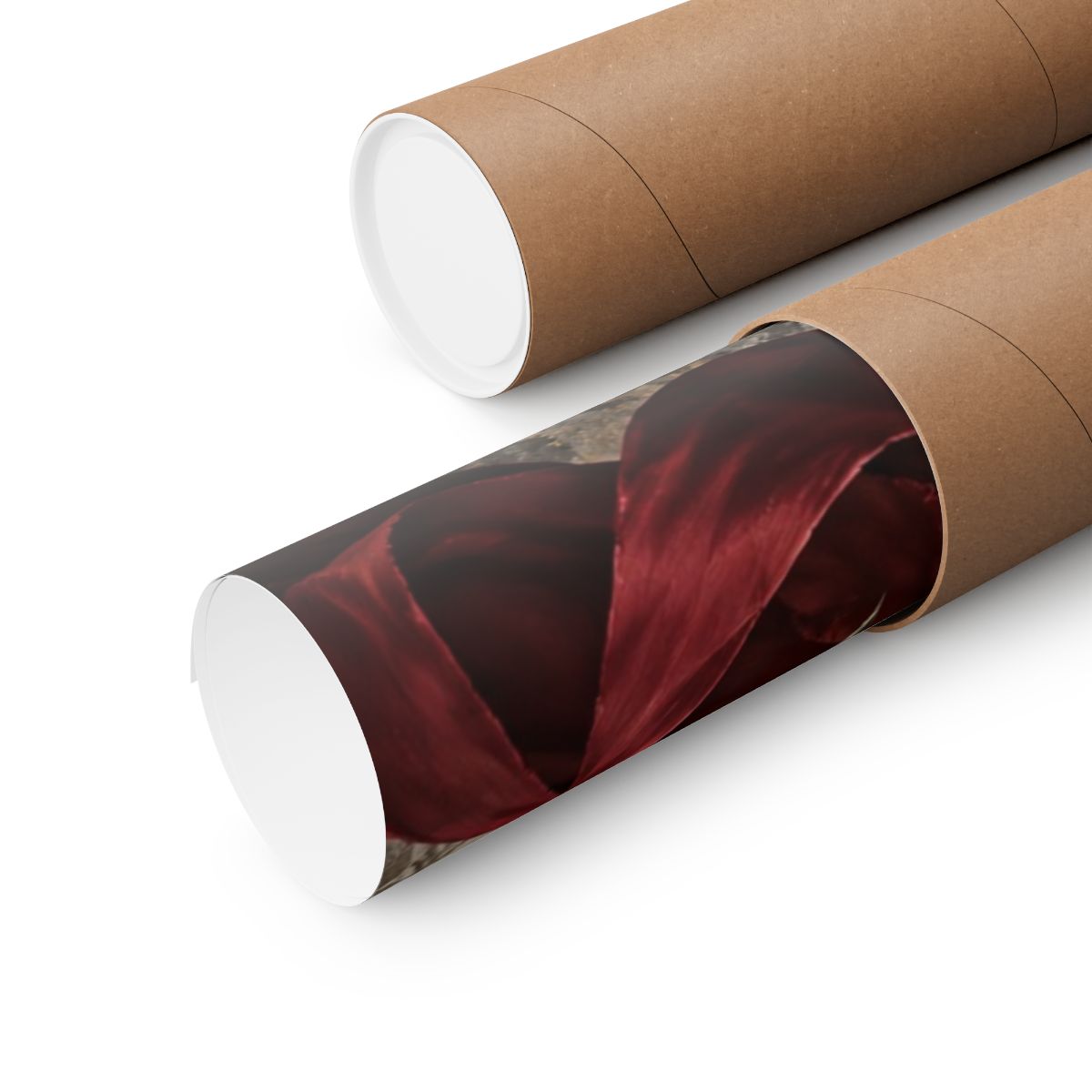 Black Roses and Red Ribbon Poster product view 6
