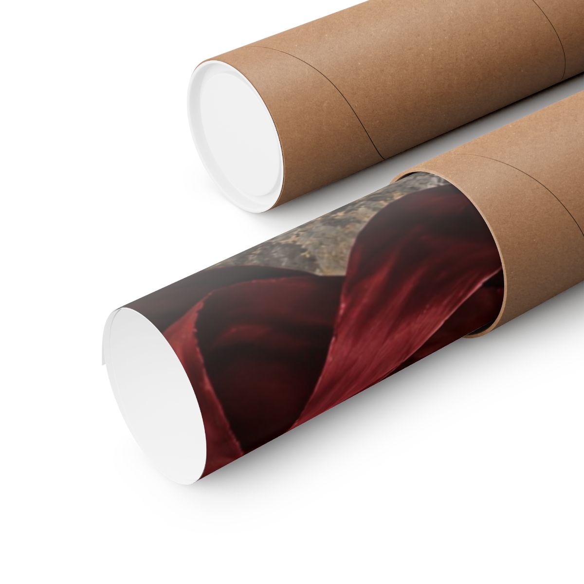 Black Roses and Red Ribbon Poster product view 3