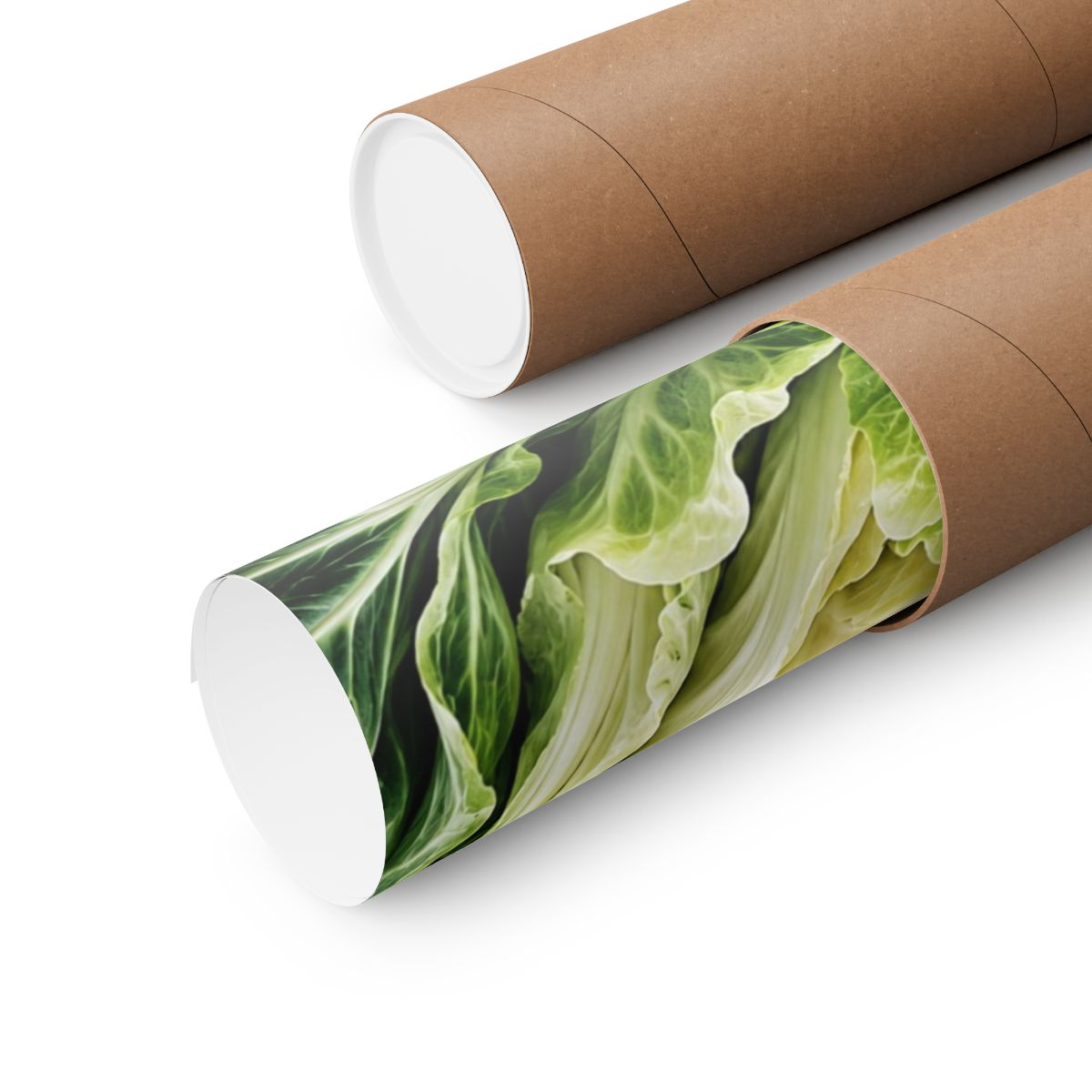 Cabbage Cross Section Poster product view 9