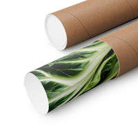Cabbage Cross Section Poster product view 3