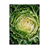 Cabbage Cross Section Poster product view 2