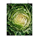 Cabbage Cross Section Poster product view 4