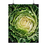 Cabbage Cross Section Poster product view 7