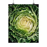 Cabbage Cross Section Poster product view 7