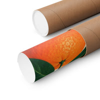 Citrus Geometry Poster product view 3