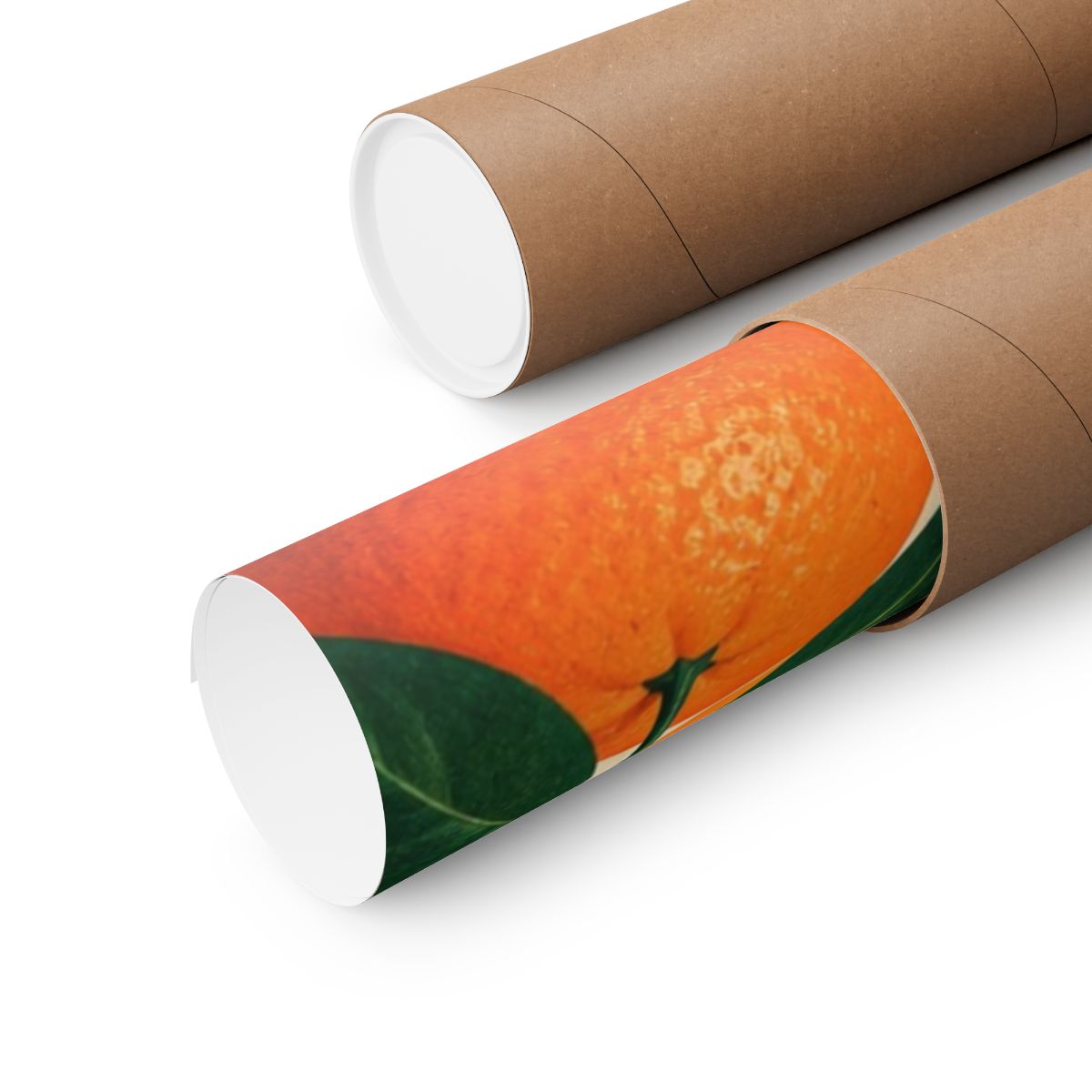 Citrus Geometry Poster product view 3