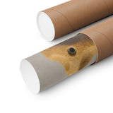 Climbing Hold Collection Poster product view 6