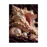 Conch Shell Study Poster product view 2