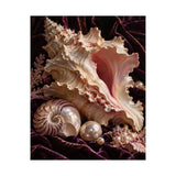 Conch Shell Study Poster product view 5