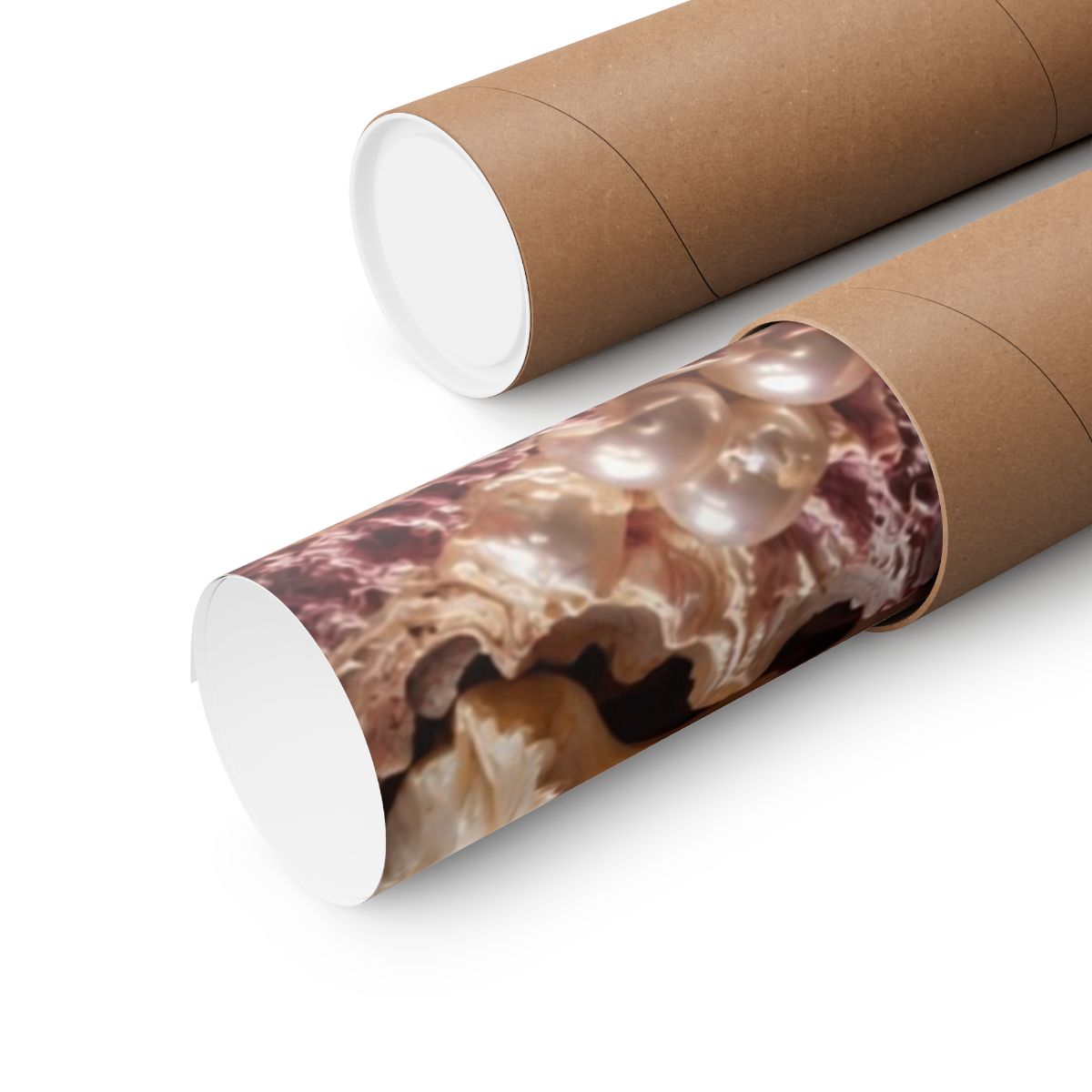 Conch Shell Study Poster product view 3