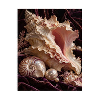 Conch Shell Study Poster product view 8