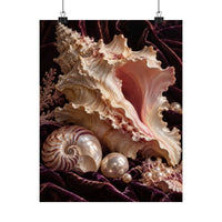 Conch Shell Study Poster product view 7