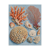 Coral Reef Field Study Poster product view 5