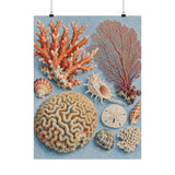 Coral Reef Field Study Poster product view 1
