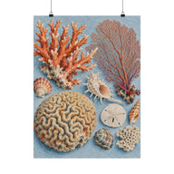 Coral Reef Field Study Poster product view 1