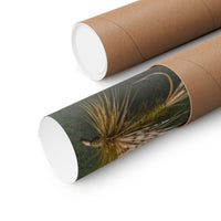 Hand Tied Fly Collection Poster product view 3