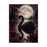 Moonlit Black Swan Poster product view 2