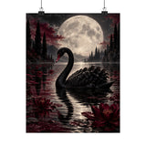 Moonlit Black Swan Poster product view 7