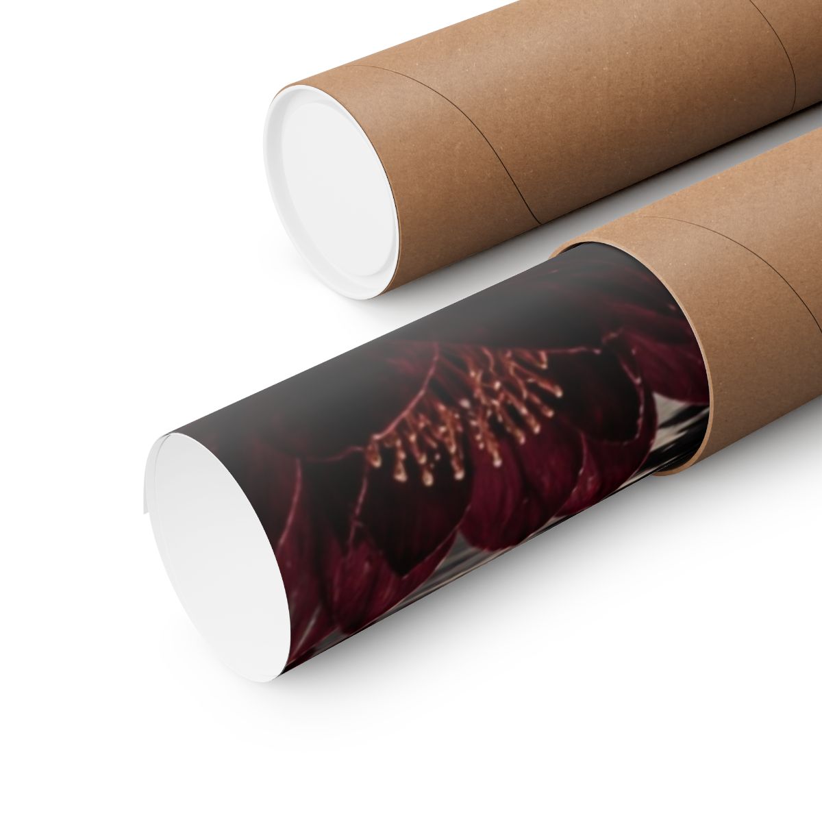 Moonlit Black Swan Poster product view 3