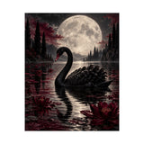 Moonlit Black Swan Poster product view 5