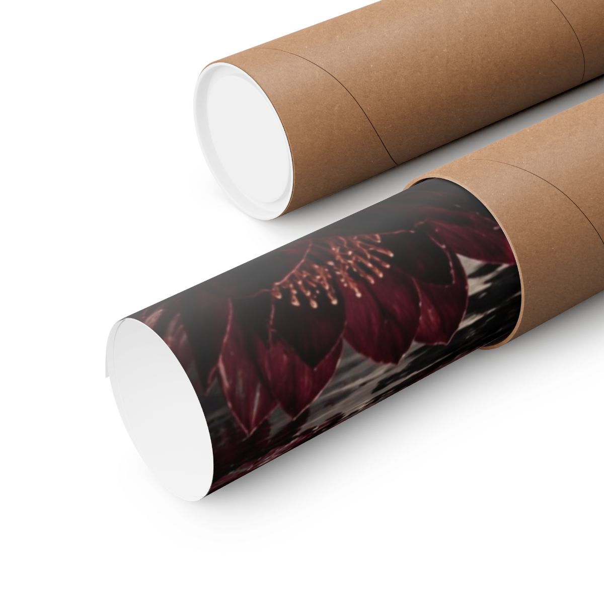 Moonlit Black Swan Poster product view 6