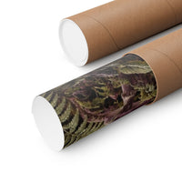 Nocturnal Mushroom Forest Poster product view 3