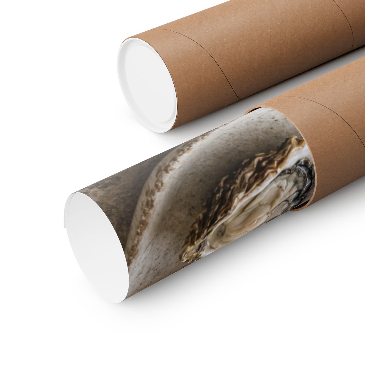 Oyster and Linen Still Life Poster product view 9