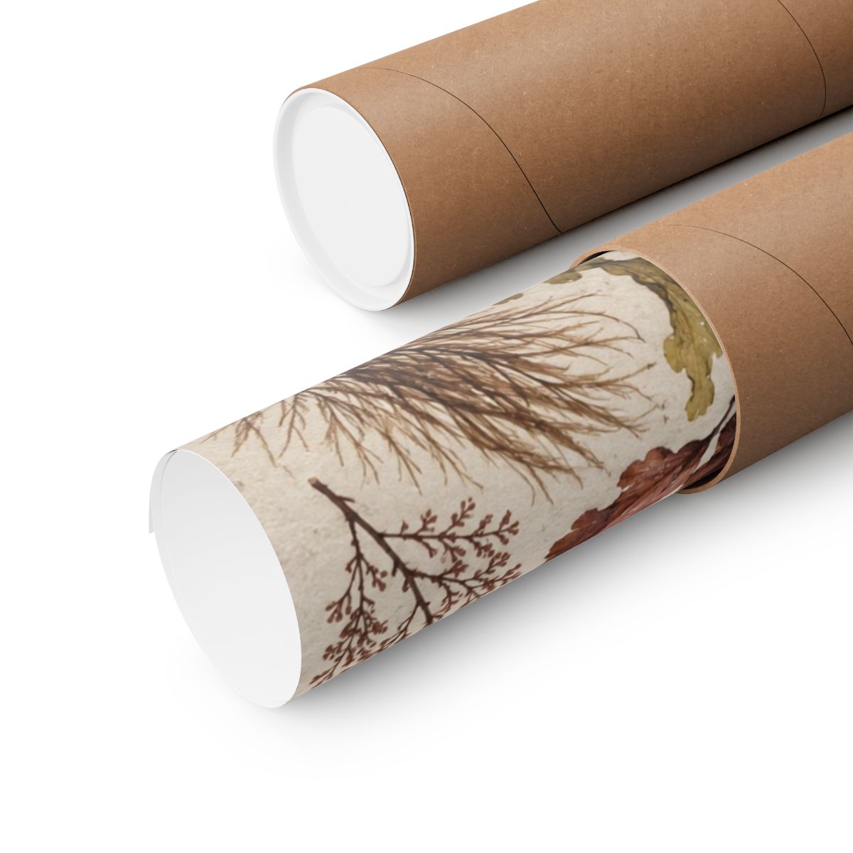 Pressed Seaweed Herbarium Poster product view 9