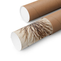 Pressed Seaweed Herbarium Poster product view 6