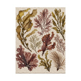 Pressed Seaweed Herbarium Poster product view 2
