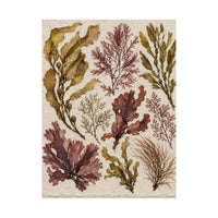Pressed Seaweed Herbarium Poster product view 2