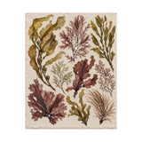 Pressed Seaweed Herbarium Poster product view 8